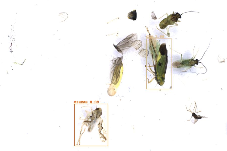 Image 18